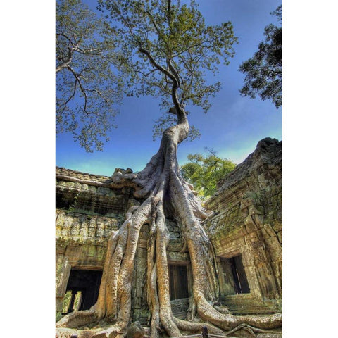 Cambodia, Angkor Wat Ruins of Beng Melea Temple Black Modern Wood Framed Art Print with Double Matting by Shimlock, Jones