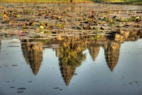 Cambodia, Angkor Wat Reflection of temple ruins White Modern Wood Framed Art Print with Double Matting by Shimlock, Jones