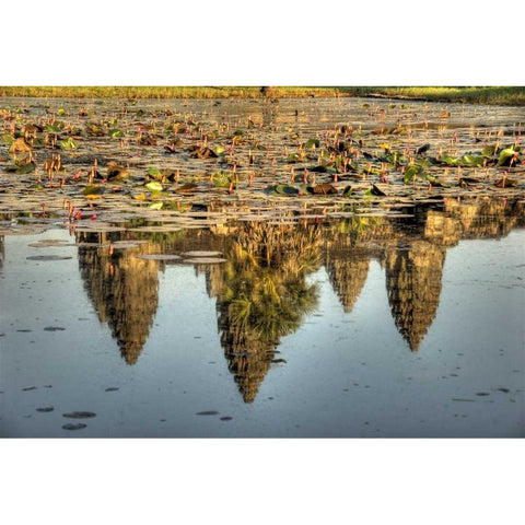 Cambodia, Angkor Wat Reflection of temple ruins Gold Ornate Wood Framed Art Print with Double Matting by Shimlock, Jones