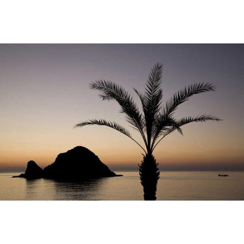 UAE, Fujairah Snoopy Island and palm tree Black Modern Wood Framed Art Print by Young, Bill