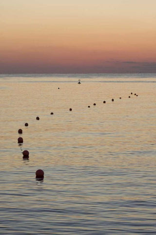 UAE, Fujairah Sunrise over marker buoys on beach White Modern Wood Framed Art Print with Double Matting by Young, Bill
