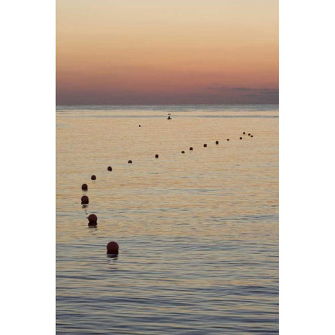 UAE, Fujairah Sunrise over marker buoys on beach Gold Ornate Wood Framed Art Print with Double Matting by Young, Bill