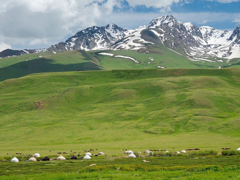Summer pasture with traditional Yurts The Suusamyr plain-a high valley White Modern Wood Framed Art Print with Double Matting by Zwick, Martin