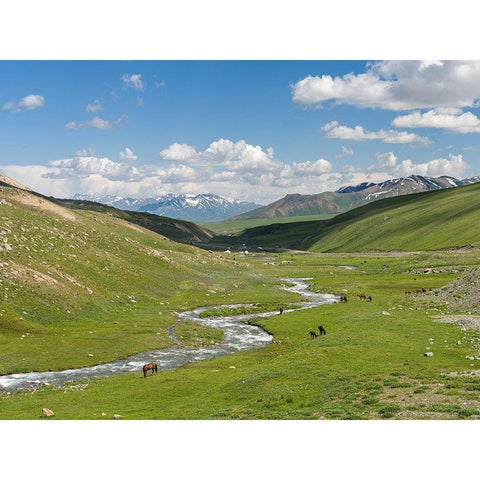 Horses on summer pasture The Suusamyr plain-a high valley in Tien Shan Mountains-Kyrgyzstan Black Modern Wood Framed Art Print by Zwick, Martin