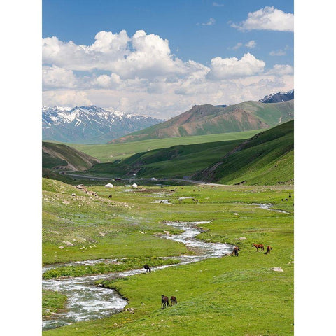 Horses on summer pasture The Suusamyr plain-a high valley in Tien Shan Mountains-Kyrgyzstan Black Modern Wood Framed Art Print by Zwick, Martin