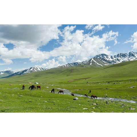 Horses on summer pasture The Suusamyr plain-a high valley in Tien Shan Mountains-Kyrgyzstan Black Modern Wood Framed Art Print by Zwick, Martin