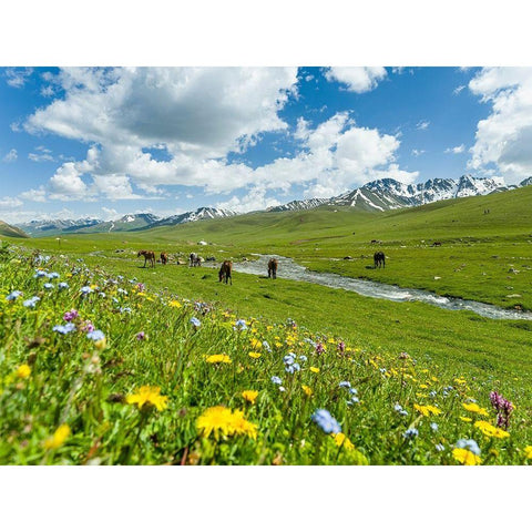 Horses on summer pasture The Suusamyr plain-a high valley in Tien Shan Mountains-Kyrgyzstan Black Modern Wood Framed Art Print by Zwick, Martin
