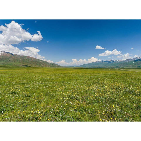 The Suusamyr plain-a high valley in Tien Shan Mountains-Kyrgyzstan Black Modern Wood Framed Art Print by Zwick, Martin