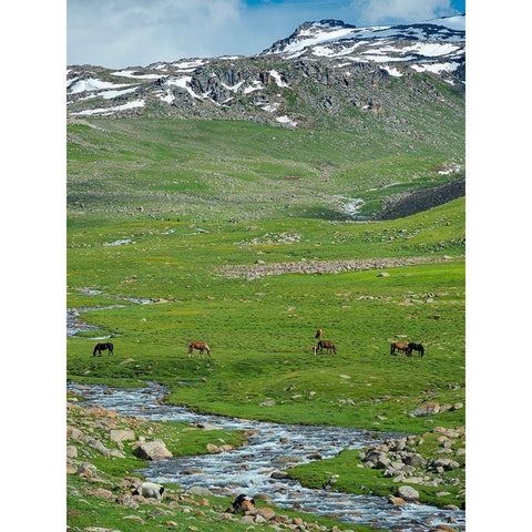 Landscape at the Otmok mountain pass in the Tien Shan or heavenly mountains-Kyrgyzstan Black Modern Wood Framed Art Print with Double Matting by Zwick, Martin
