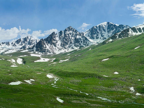 Landscape at the Otmok mountain pass in the Tien Shan or heavenly mountains-Kyrgyzstan Black Ornate Wood Framed Art Print with Double Matting by Zwick, Martin