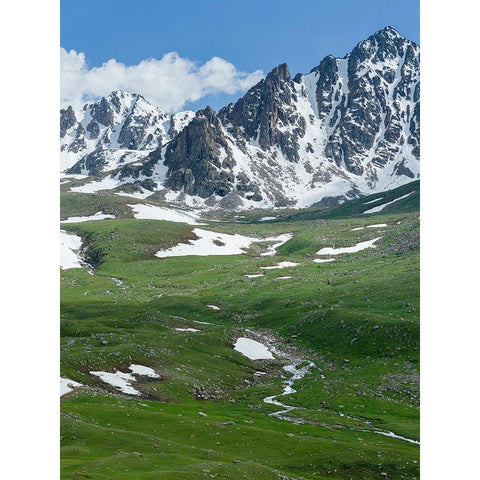 Landscape at the Otmok mountain pass in the Tien Shan or heavenly mountains-Kyrgyzstan Gold Ornate Wood Framed Art Print with Double Matting by Zwick, Martin
