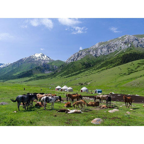 Alpe with Yurt and horses-the mares are used for milking National Park Besch Tasch Gold Ornate Wood Framed Art Print with Double Matting by Zwick, Martin