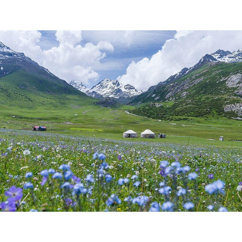 Yurts on the high altitude summer pastures National Park Besch Tasch Black Modern Wood Framed Art Print by Zwick, Martin