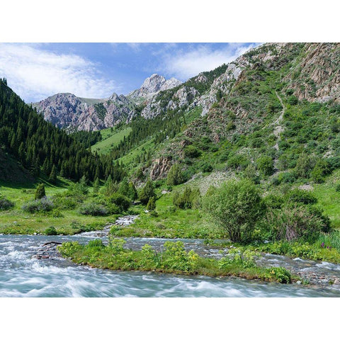 Landscape in the National Park Besch Tasch in the Talas Alatoo mountain range Gold Ornate Wood Framed Art Print with Double Matting by Zwick, Martin