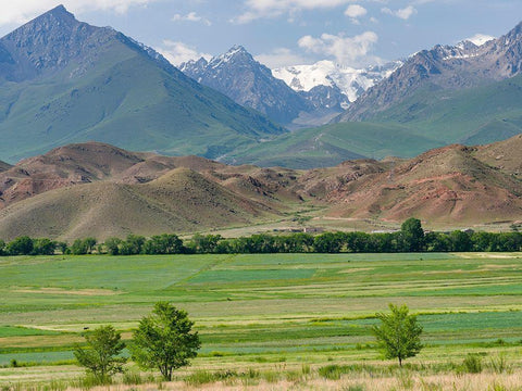 Agriculture near lake Issyk-Kul  Black Ornate Wood Framed Art Print with Double Matting by Zwick, Martin