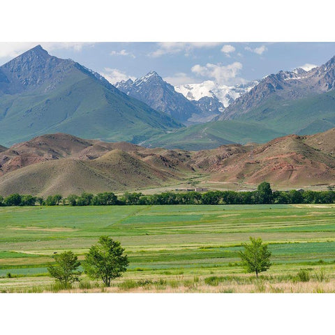 Agriculture near lake Issyk-Kul  Black Modern Wood Framed Art Print with Double Matting by Zwick, Martin