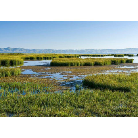 Landscape at lake Song Kol  Gold Ornate Wood Framed Art Print with Double Matting by Zwick, Martin