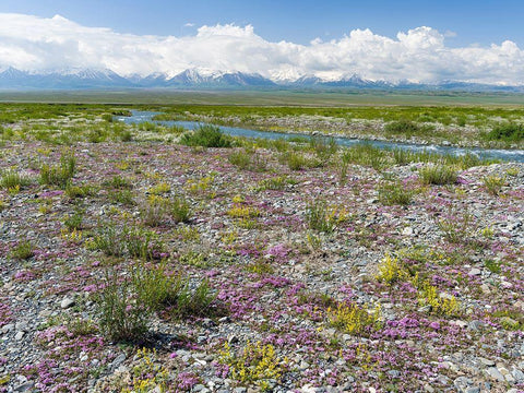 Peak Pik Lenin or Kullai abu-ali ibn Sino and Pik Dserschinski Alay Valley  Black Ornate Wood Framed Art Print with Double Matting by Zwick, Martin
