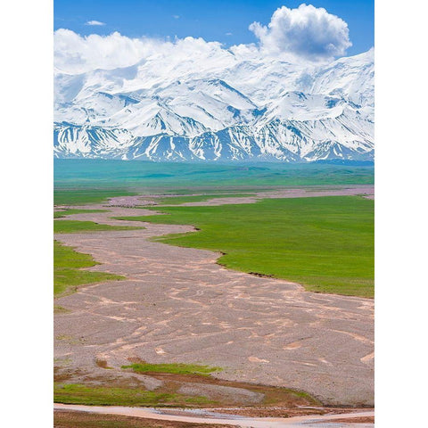 Alay Valley and the Trans-Alay Range in the Pamir Mountains  Gold Ornate Wood Framed Art Print with Double Matting by Zwick, Martin