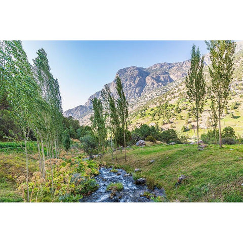 Artuch-Sughd Province-Tajikistan A small creek in the mountains of Tajikistan Gold Ornate Wood Framed Art Print with Double Matting by Wilson, Emily M.