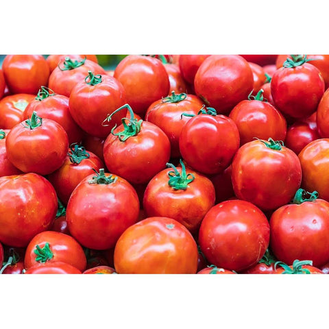 Khujand-Sughd Province-Tajikistan Fresh tomatoes for sale at the Panjshanbe Bazaar in Khujand Black Modern Wood Framed Art Print by Wilson, Emily M.