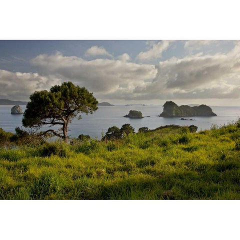 New Zealand, North Is Stingray Bay at sunrise Gold Ornate Wood Framed Art Print with Double Matting by Grall, Don