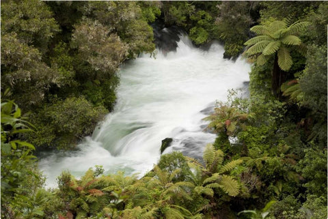 New Zealand, Okere Falls on the Kaituna River Black Ornate Wood Framed Art Print with Double Matting by Grall, Don