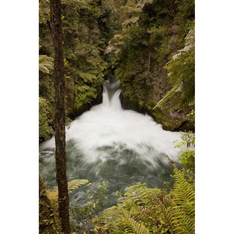 New Zealand The Kaituna river over Tuteas Falls Black Modern Wood Framed Art Print with Double Matting by Grall, Don