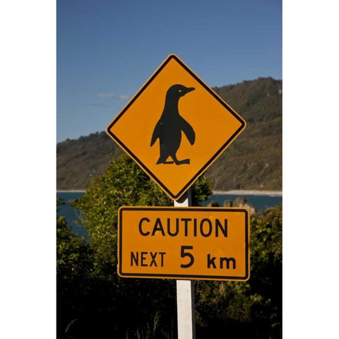 New Zealand, South Island Traffic warning sign White Modern Wood Framed Art Print by Grall, Don
