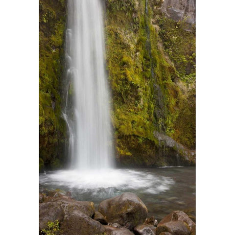New Zealand, Taranaki Dawson Falls in Egmont NP Gold Ornate Wood Framed Art Print with Double Matting by Grall, Don