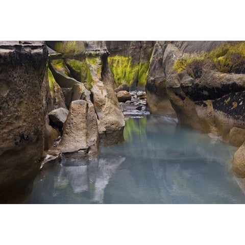 New Zealand, North Island Rocks at low tide Black Modern Wood Framed Art Print with Double Matting by Grall, Don