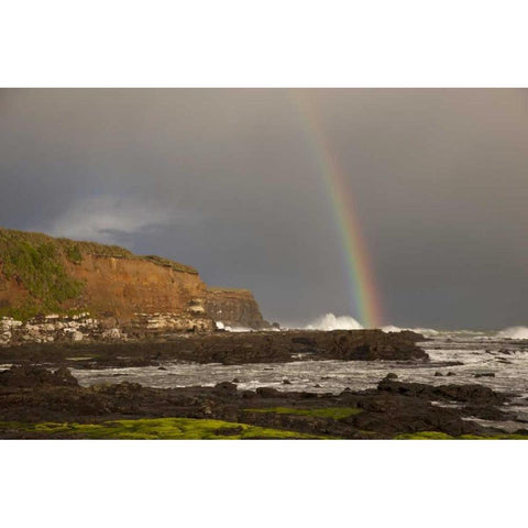 New Zealand, South Island Rainbow over Curio Bay Black Modern Wood Framed Art Print with Double Matting by Grall, Don