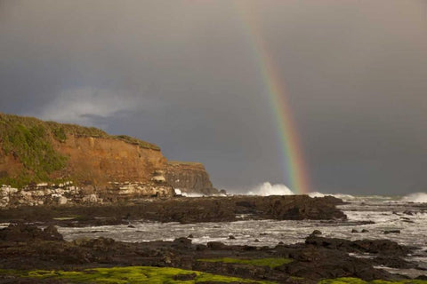 New Zealand, South Island Rainbow over Curio Bay White Modern Wood Framed Art Print with Double Matting by Grall, Don