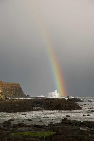 New Zealand, South Island Rainbow over Curio Bay White Modern Wood Framed Art Print with Double Matting by Grall, Don