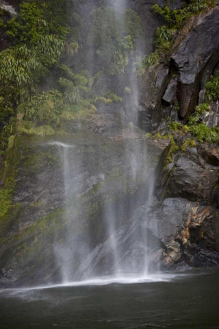 New Zealand, South Isl, Fiordland NP Waterfall White Modern Wood Framed Art Print with Double Matting by Grall, Don