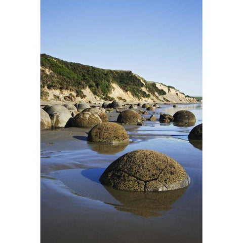 New Zealand, South Island Moeraki Boulders White Modern Wood Framed Art Print by Flaherty, Dennis