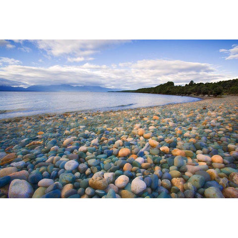 South Island Rocky shore of Lake Te Anau Gold Ornate Wood Framed Art Print with Double Matting by Jaynes Gallery