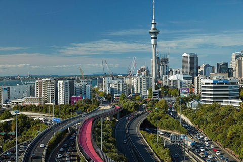 Motorways-Lightpath cycleway-and Skytower-Auckland-North Island-New Zealand Black Ornate Wood Framed Art Print with Double Matting by Wall, David
