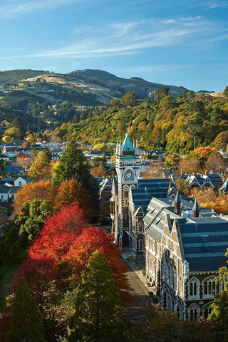 Clock Tower-Registry Building-University of Otago in Autumn-Dunedin White Modern Wood Framed Art Print with Double Matting by Wall, David