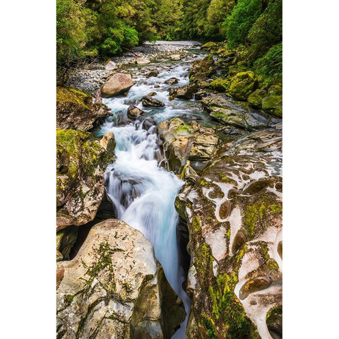 The Chasm-Fiordland National Park-South Island-New Zealand Gold Ornate Wood Framed Art Print with Double Matting by Bishop, Russ