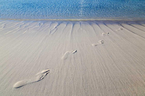 Bahamas, Exuma Island Sand footprints White Modern Wood Framed Art Print with Double Matting by Paulson, Don