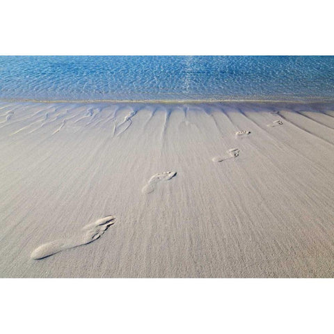 Bahamas, Exuma Island Sand footprints Black Modern Wood Framed Art Print by Paulson, Don