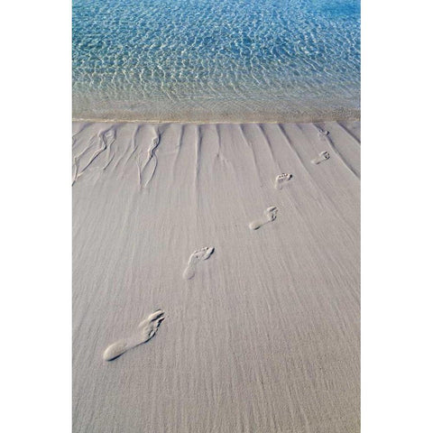 Bahamas, Exuma Island Sand footprints Black Modern Wood Framed Art Print by Paulson, Don