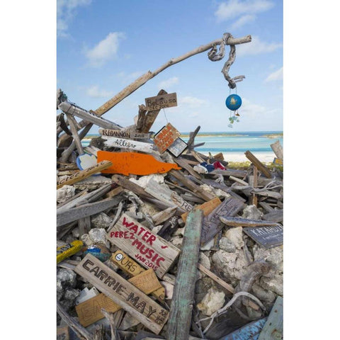 Bahamas, Exuma Island Driftwood on BooBoo Hill Black Modern Wood Framed Art Print with Double Matting by Paulson, Don