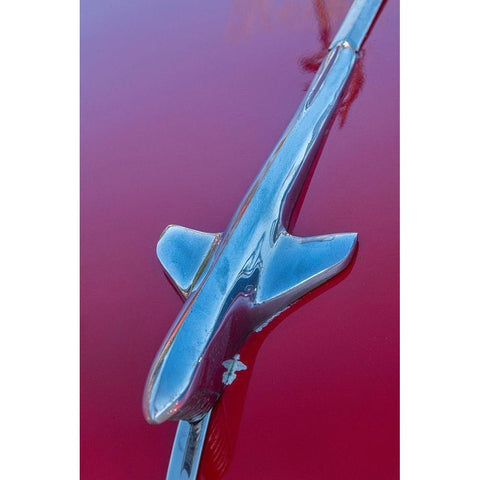 Detail of hood ornament on red classic American car in Habana-Havana-Cuba White Modern Wood Framed Art Print by Miglavs, Janis