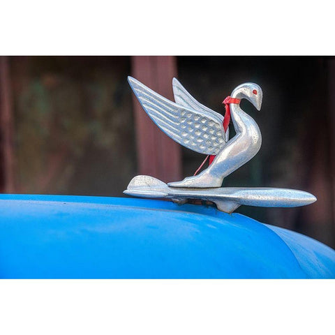 Detail of swan hood ornament usually found on classic American Packard Havana-Cuba Black Modern Wood Framed Art Print by Miglavs, Janis