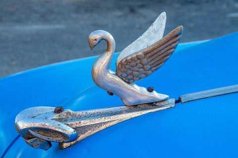 Close-up a swan hood ornament on a classic blue American car in Vieja-old Habana-Havana-Cuba White Modern Wood Framed Art Print with Double Matting by Miglavs, Janis