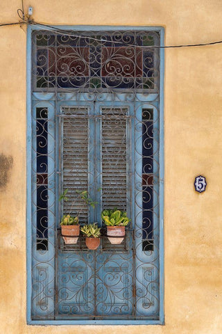 Flower pots sit in wrought iron gate in front of blue door in Old Havana; La Habana Vieja-Cuba Black Ornate Wood Framed Art Print with Double Matting by Miglavs, Janis