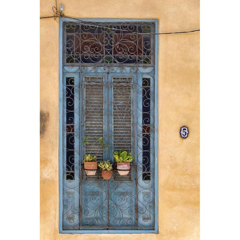 Flower pots sit in wrought iron gate in front of blue door in Old Havana; La Habana Vieja-Cuba Black Modern Wood Framed Art Print by Miglavs, Janis