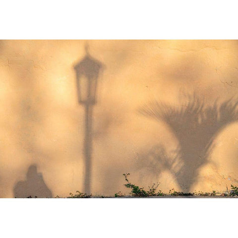 Early morning shadow of a man and lamppost and plant on house wall in Trinidad-Cuba Gold Ornate Wood Framed Art Print with Double Matting by Miglavs, Janis